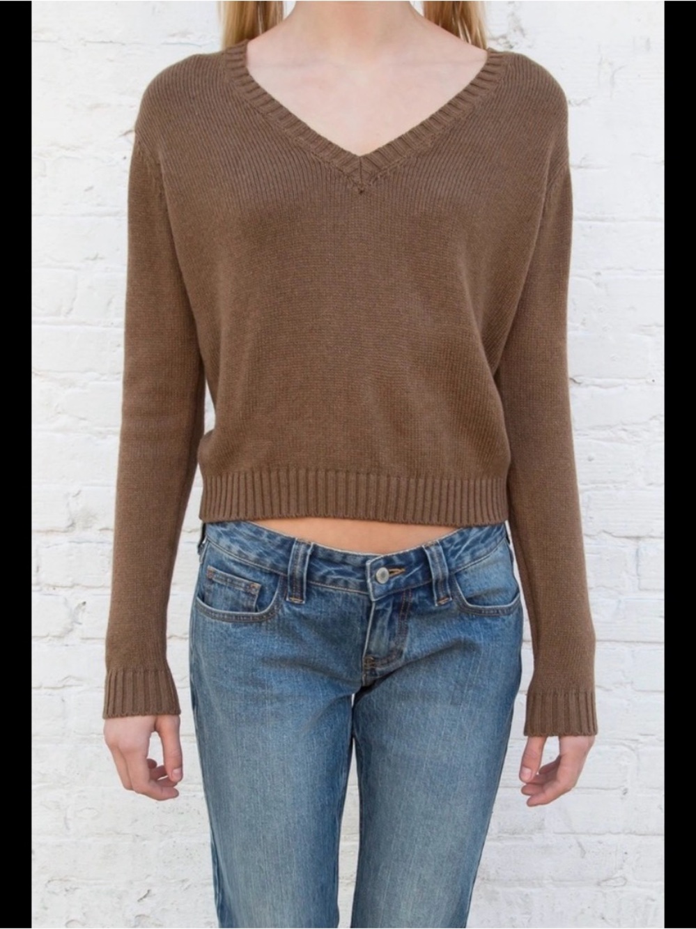 Brandy Melville Brown Leigh Sweater